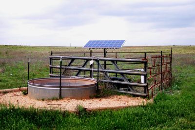 Benefits of Using Solar Pumps to Water Livestock